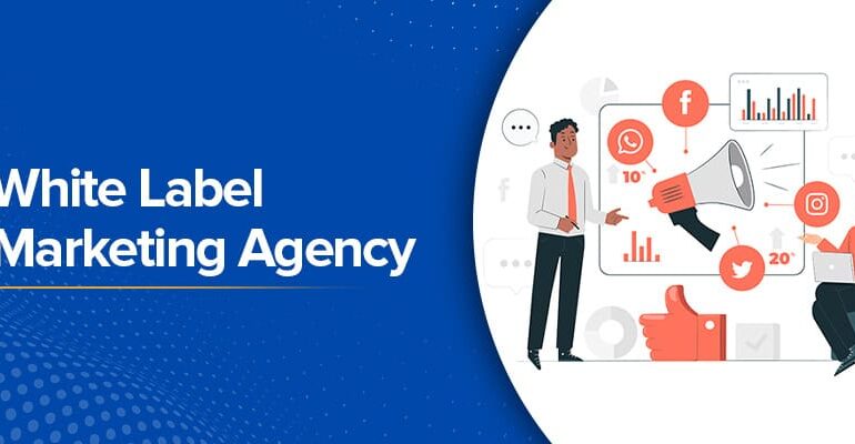 Unlocking Growth with Scalable SEO Solutions