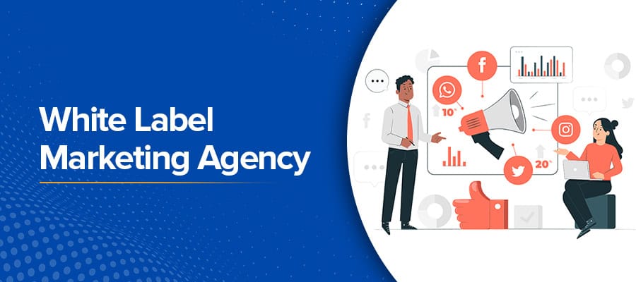 Unlocking Growth with Scalable SEO Solutions